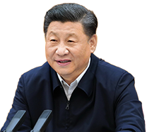 疾控部门回应广东蟑螂已进化