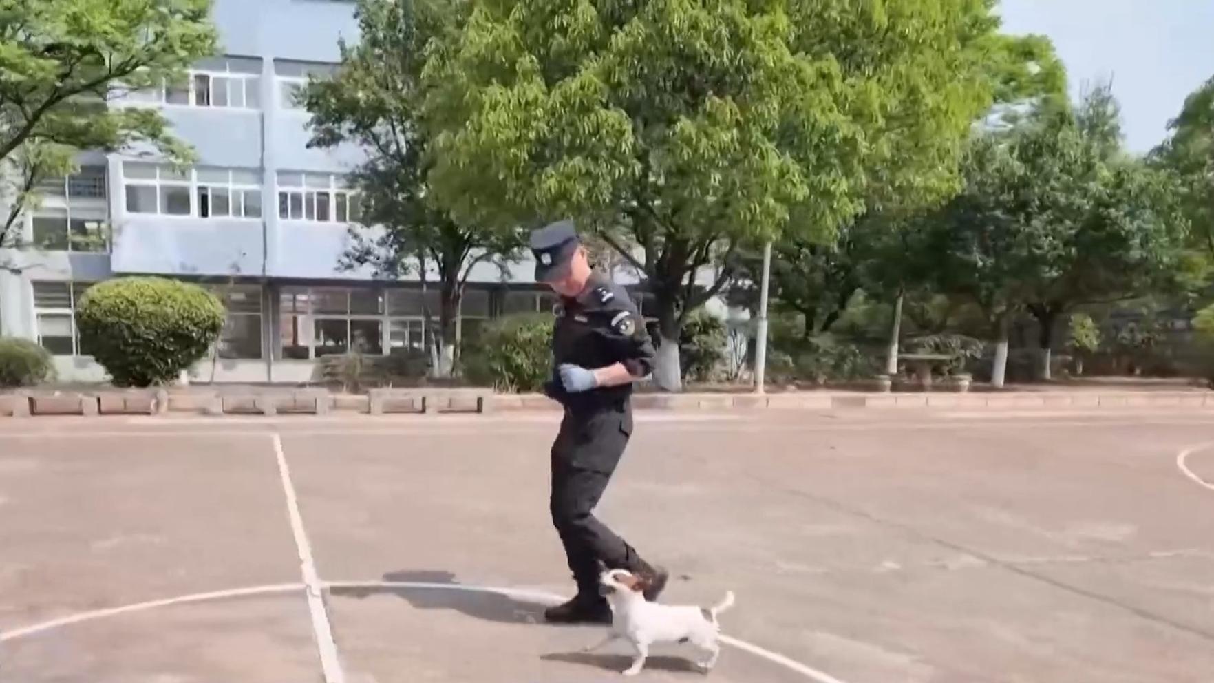 蓝科技国家科学技术进步奖