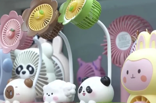 广西发现新物种阳朔风筝果