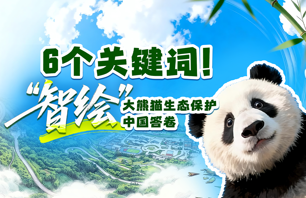 雪山下的一堂足球课